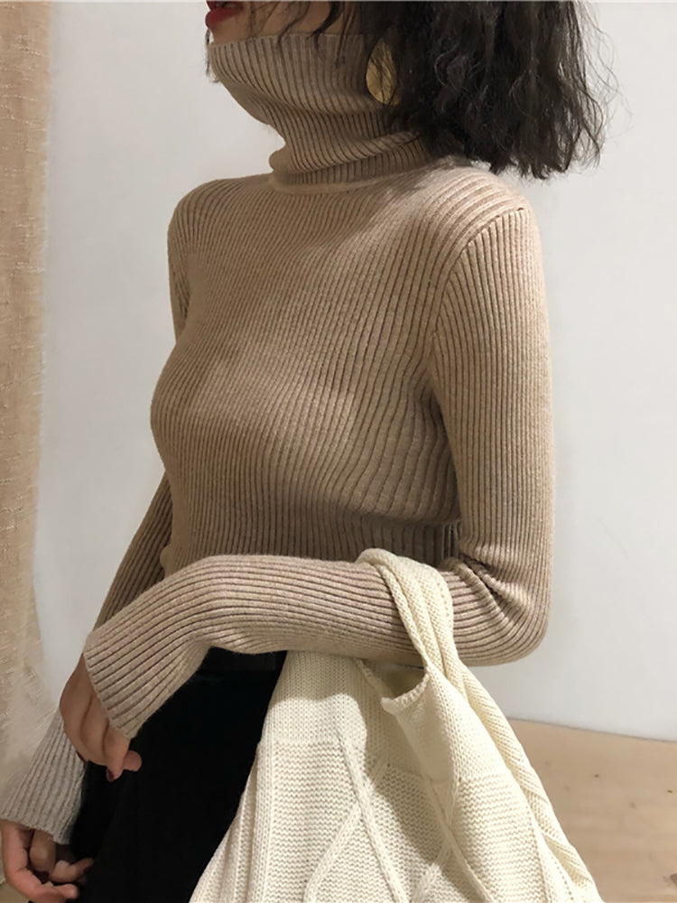 Cotton knitted turtleneck