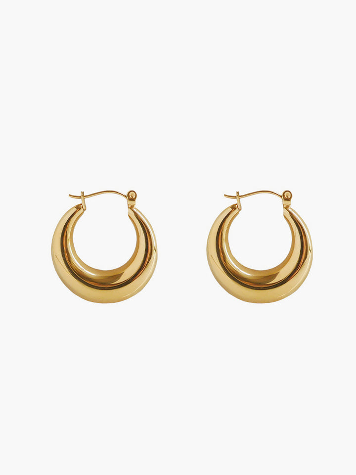 Golden Hoop Earrings