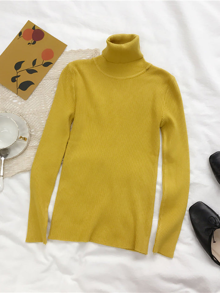 Cotton knitted turtleneck